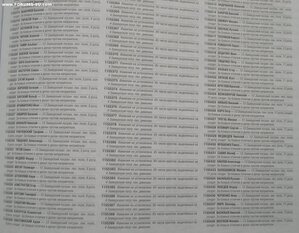 Г.К.4ст. 1м.155385. Пограничник.