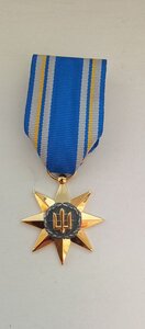 Медаль «Зірка військового братерства»