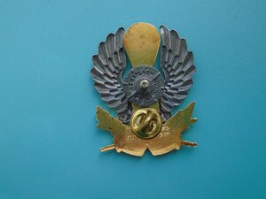 Знак 63 Воздушно десантной бригады Сербия