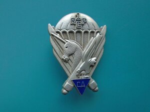 Знак 1 парашютно десантного полка Франция