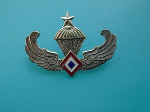 Знак Старшего парашютиста Филиппины