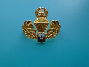 Знак парашютиста спецбригады Ирак