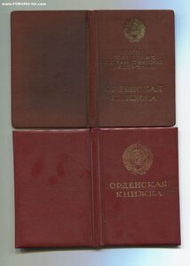 Трудовые Славы 2 и 3 степени. 10 лет между награждениями.