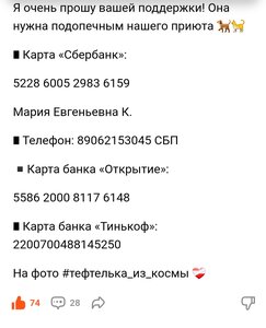 ПОМОЩЬ ПРИЮТУ!