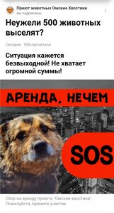 ПОМОЩЬ ПРИЮТУ!