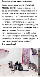 ПОМОЩЬ ПРИЮТУ!