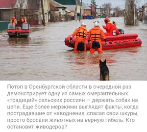 ПОМОЩЬ ПРИЮТУ!