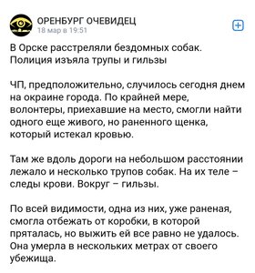ПОМОЩЬ ПРИЮТУ!
