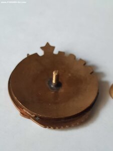 Отличник местной и топливной промышленности ЛатССР