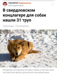 ПОМОЩЬ ПРИЮТУ!