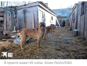 ПОМОЩЬ ПРИЮТУ!