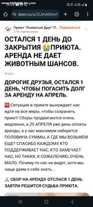 ПОМОЩЬ ПРИЮТУ!