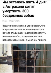 ПОМОЩЬ ПРИЮТУ!