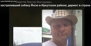 ПОМОЩЬ ПРИЮТУ!