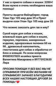 ПОМОЩЬ ПРИЮТУ!