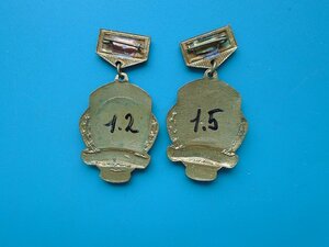 Лот из 2 знаков 2 и 3 место по плаванию Красноярский край