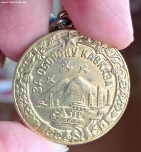 Кавказ (паяное ухо) родной сбор