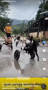 ПОМОЩЬ ПРИЮТУ!