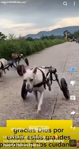 ПОМОЩЬ ПРИЮТУ!