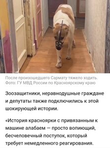 ПОМОЩЬ ПРИЮТУ!