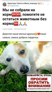 ПОМОЩЬ ПРИЮТУ!