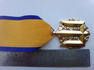 Заохочувальна відзнака МО України Медаль «Золотий Тризуб"