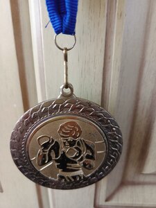 ПРИЗОВА МЕДАЛЬ З БОКСУ БІЛА ЦЕРКВА 2013 РІК