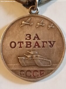 Отвага 2320817 ( лак родной )