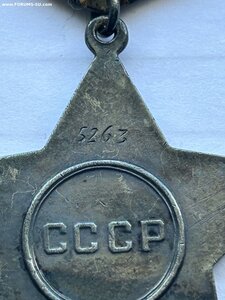 Орден Славы 3 степени № 5263 с УК и НЛ.
