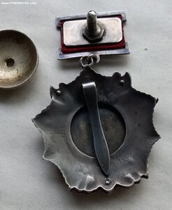 Невский ранний, подвесной.