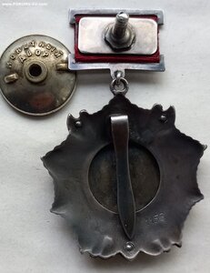 Невский ранний, подвесной.