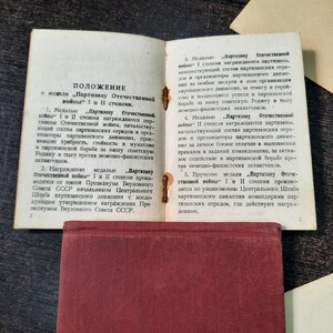 Партизан на командира