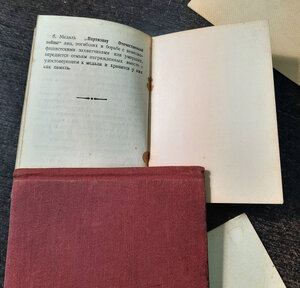 Партизан на командира