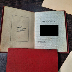 Партизан на командира