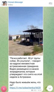 ПОМОЩЬ ПРИЮТУ!