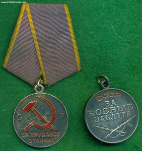 Две медали в серебре:ТО и БЗ