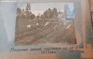 Золотые часы от Наркомата Обороеы СССР.