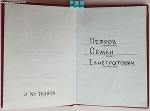 Отвага ННГ вручена в 1993 году на орденской Ментешашвили