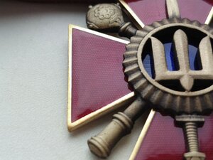 RRR! МОУ Нагрудний знак «Хрест особливих заслуг»