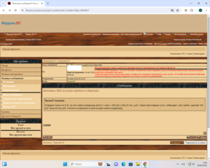 БКЗ за штурм крепости в Берлине.