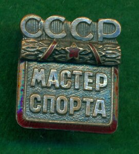 Мастер спорта СССР № 1317