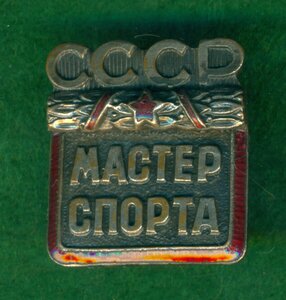 Мастер спорта СССР № 1317