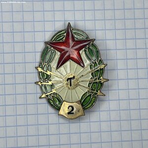 Телеграфист Венгерской народной армии, 2 ст