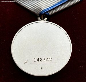 Медаль За Отвагу РФ на доке + Участник Проекта