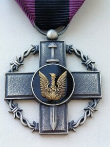 Почесний  знак Головнокомандувача ЗСУ "а незламність"