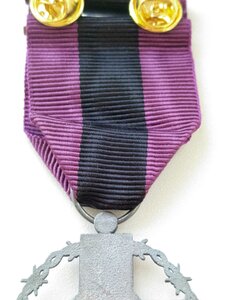 Почесний  знак Головнокомандувача ЗСУ "а незламність"