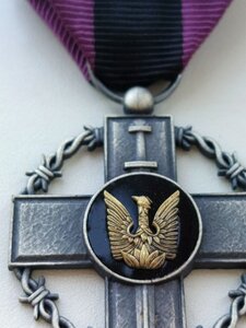 Почесний  знак Головнокомандувача ЗСУ "а незламність"