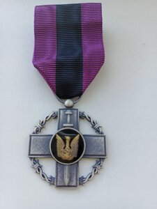 Почесний  знак Головнокомандувача ЗСУ "а незламність"