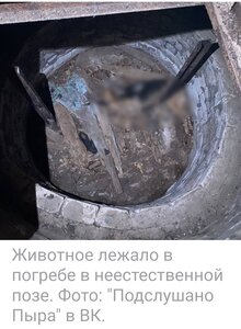 ПОМОЩЬ ПРИЮТУ!