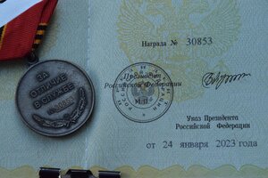 Медаль Жукова на доке СВО, УКРАИНА